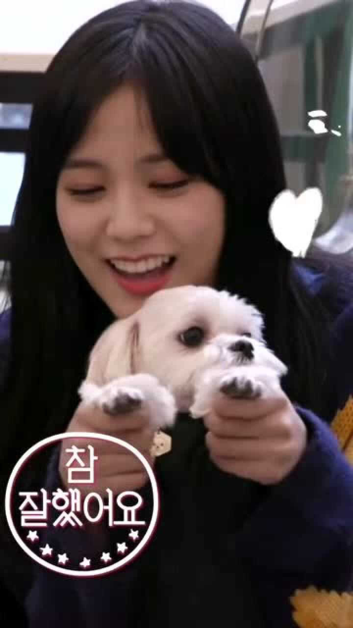 jisoo把月熊宠成亲儿子对待心里默念我不酸