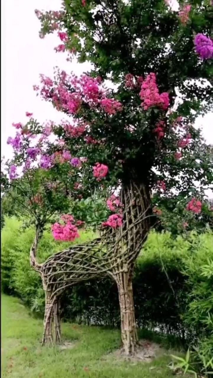 蔷薇树种植基地美女做成动物造型看着栩栩如生