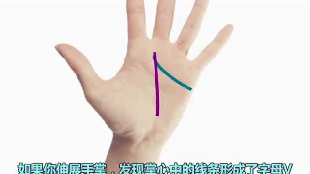 不同掌纹的寓意,看看你是哪一种