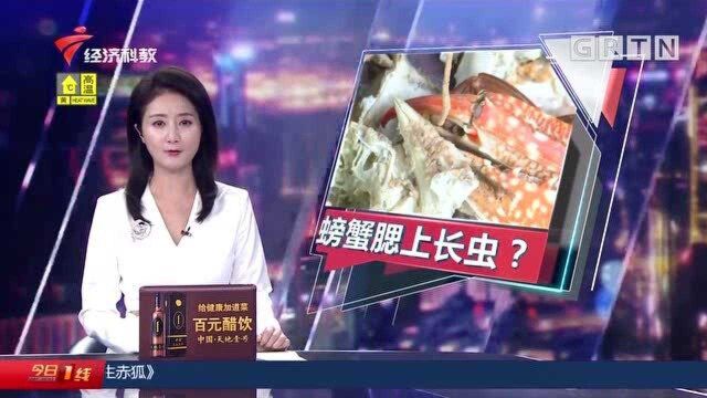 珠海:螃蟹腮上布满“虫子”,能不能吃? 系寄生物不用恐慌