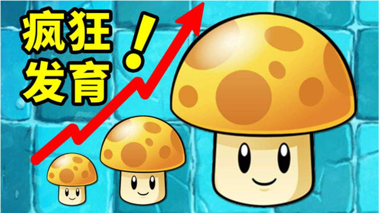 植物大战僵尸2国际版:阳光菇白天不睡觉,多晒太阳发育好!