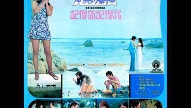 邓丽君《爱惜花》(1974),邓丽君金曲典藏