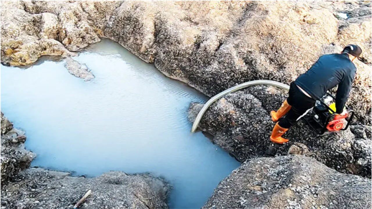 大熊海边赶海抬抽水机抽掉深坑,坑里的鱼群聚焦,兄弟又有口福了