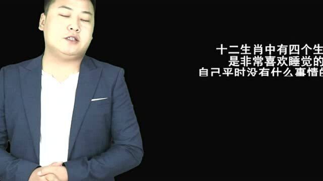 12生肖中最喜欢睡懒觉的4个生肖,这也是种休闲方式