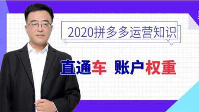 拼多多运营直通车账户权重解析,电商创业新手小白开店干货课程!视频教程!