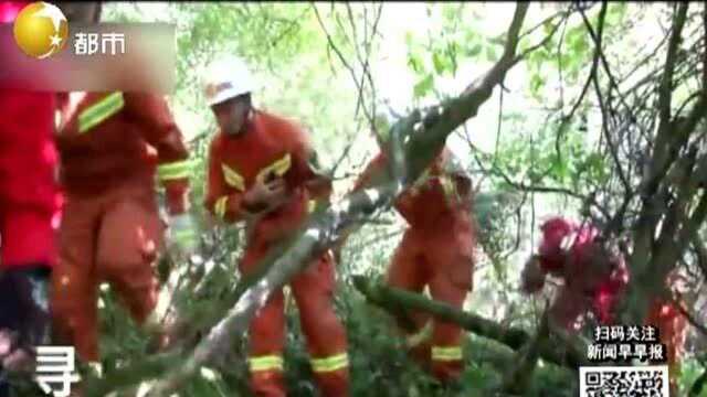 惊险刺激!一家三口进山找作文素材,不料全家被困山里