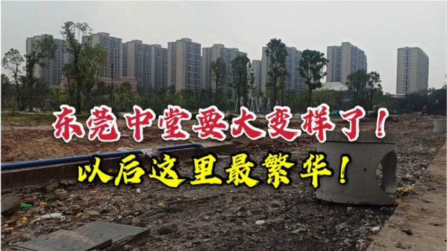 东莞中堂要大变样啦!未来这里最繁华,百姓居住幸福感将大大提升