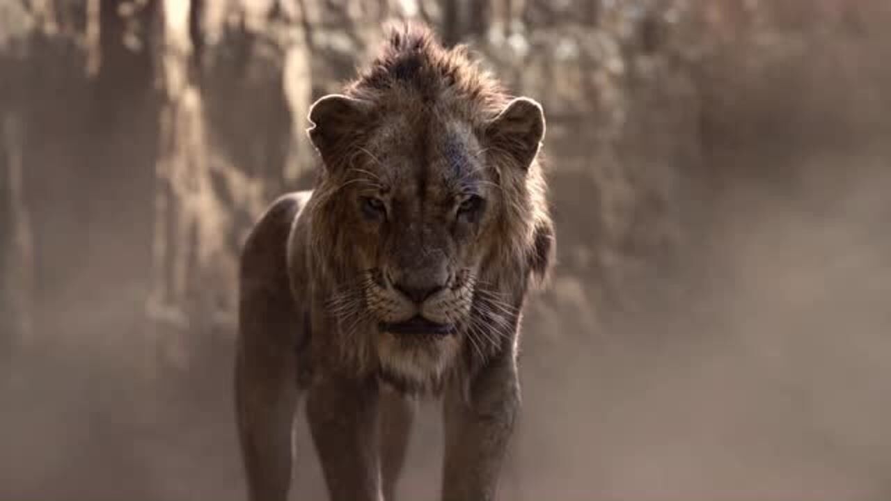 狮子王刀疤竟然要鬣狗杀掉辛巴这是要赶尽杀绝啊