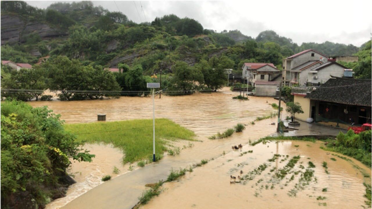 湖南溆浦暴雨来势凶猛,洪水来得太快了,水稻被淹农民欲哭无泪