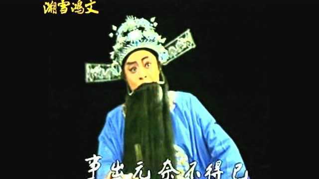 豫剧孟祥礼《真假驸马》说什么事出无奈不得已