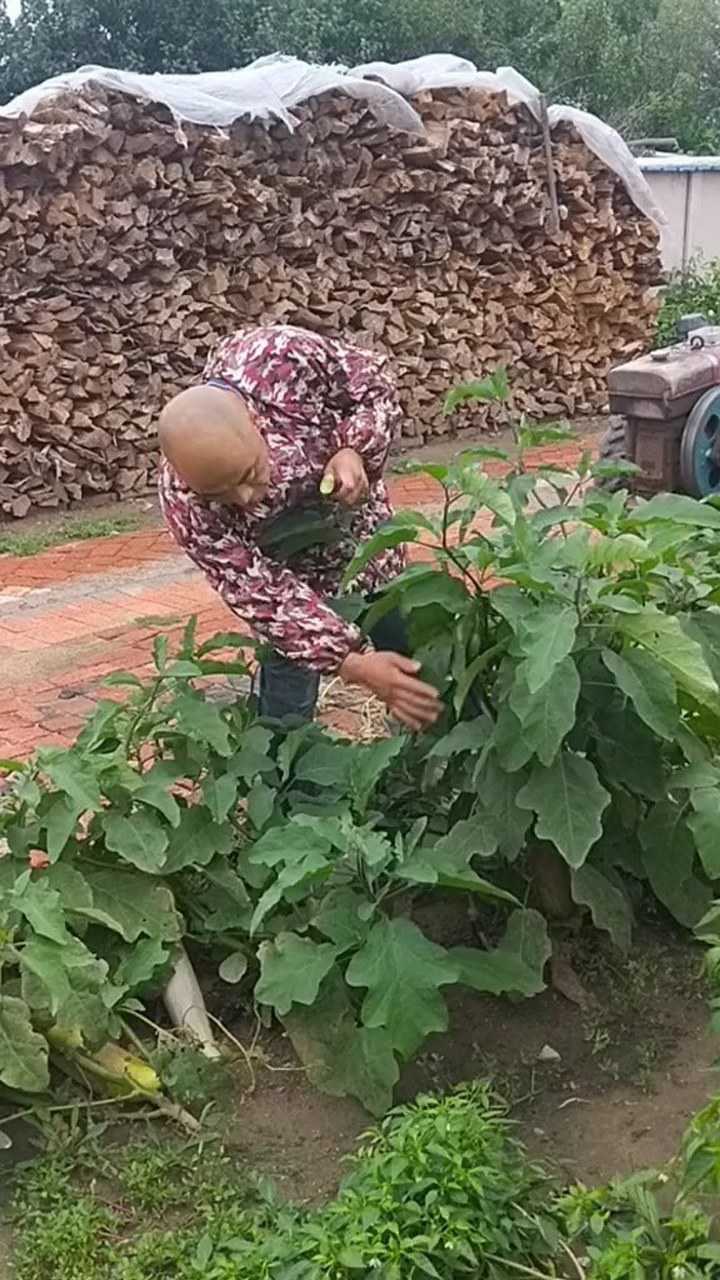 卖豆腐的光头强