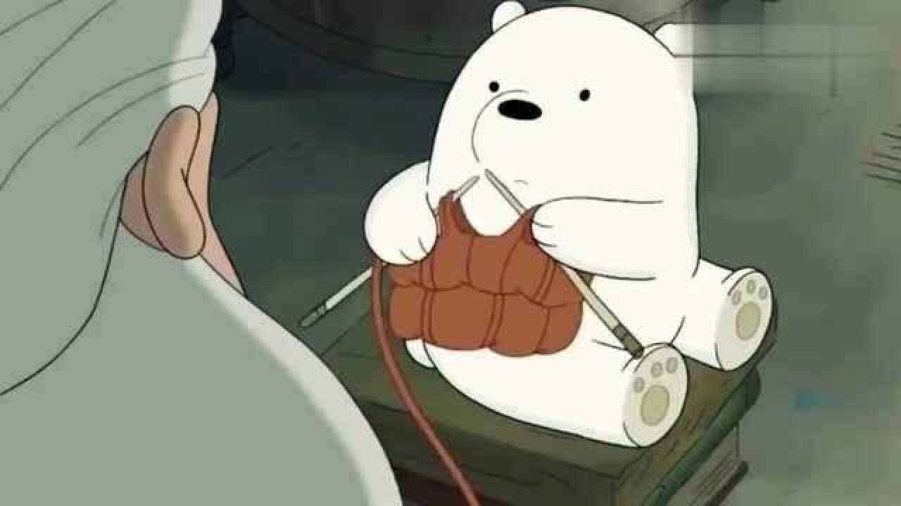 咱们裸熊小白熊简直是个全能熊会修东西会做饭还会织毛衣