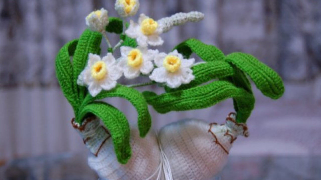 钩针水仙花:花朵教程