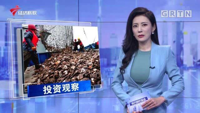 天网恢恢!证监会向公安机关移送獐子岛案件