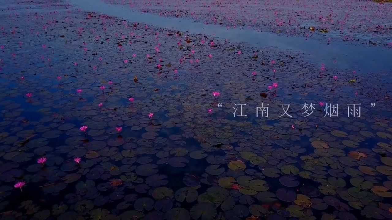 "故里逢春 不逢故人.