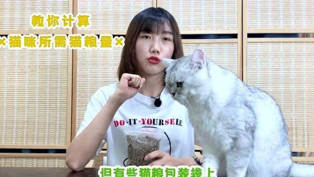 猫咪一天需要多少猫粮?今天就来教你计算,看看你家猫咪吃多没