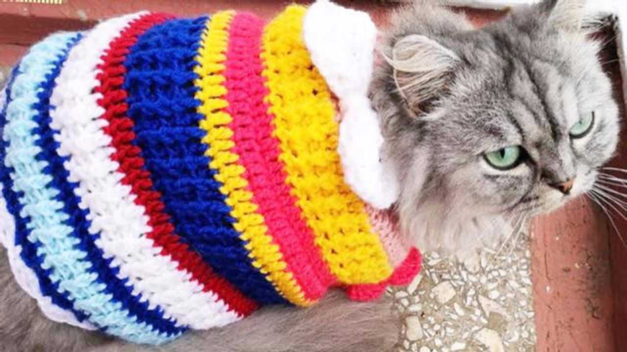 「家居针织」猫咪的保暖小外套钩织教程