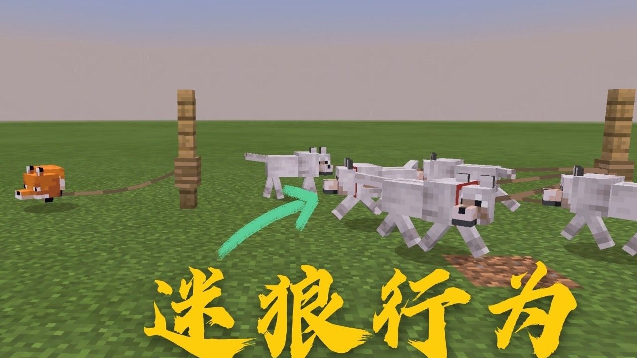 mc:当狼被拴住还能吃到狐狸吗?