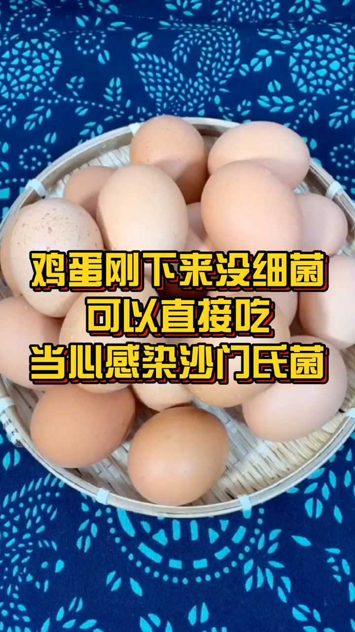 刚孵下来的鸡蛋没有细菌可以直接吃当心感染沙门氏菌