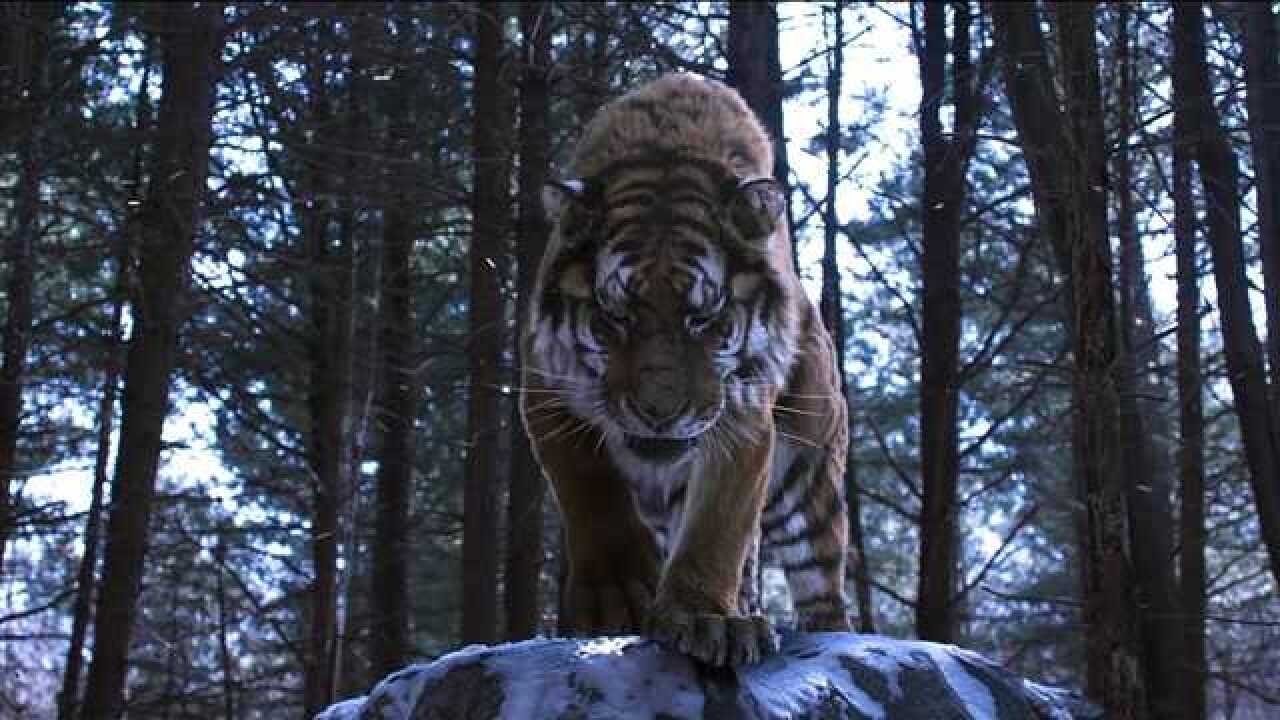 盘点电影中的大老虎虎啸山林百兽臣服谁才是王者