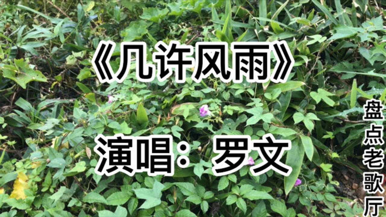 身处高峰尝尽雨丝轻风的加冕几许风雨罗文经典重现