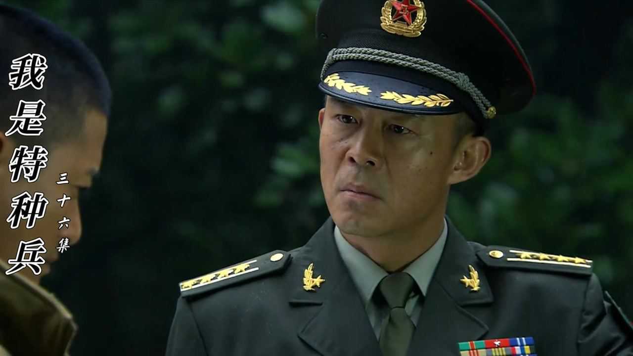 我是特种兵心怡变成植物人何晨光想退伍被旅长一顿吼骂醒了