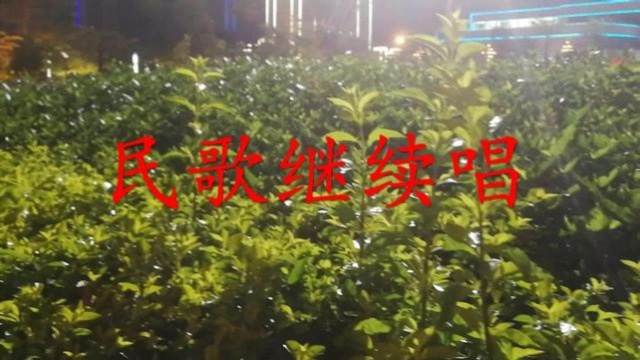 这组《民歌继续唱》是中国名人最经典民歌,首首动听