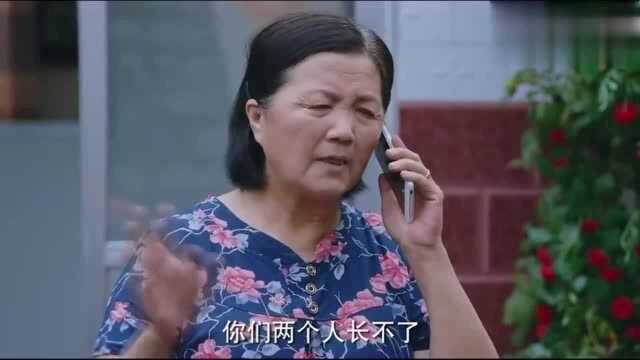 遍地书香:李焕荣打电话又训斥了儿子一番,还称儿子和段红长不了