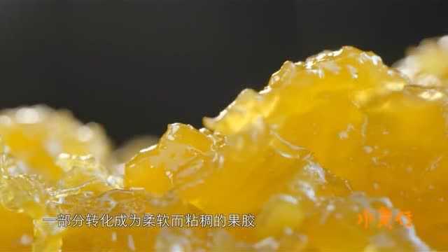 奇妙的水果之旅(五)凤梨~~~酥?