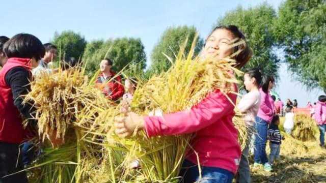 好消息!中国正式增加一个法定假日,农民笑开了花