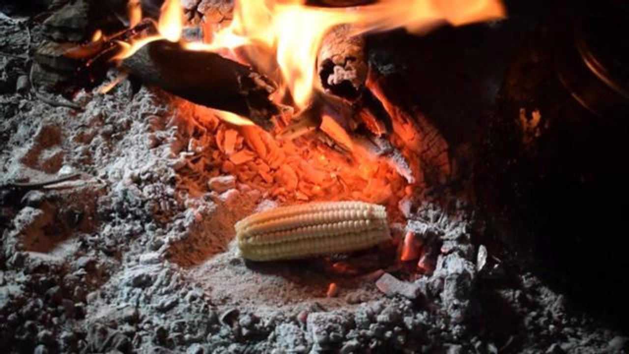 农村人都爱吃柴火烤玉米这样烤出来的味道又香又甜你们烤过吗