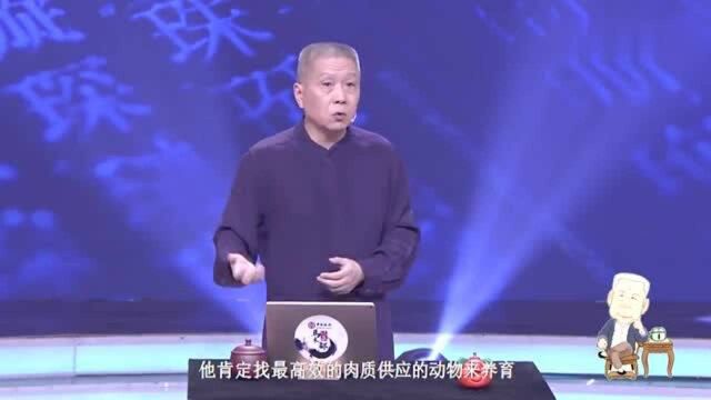 马未都:猪肉为何成为肉类巨头?不得已呀!