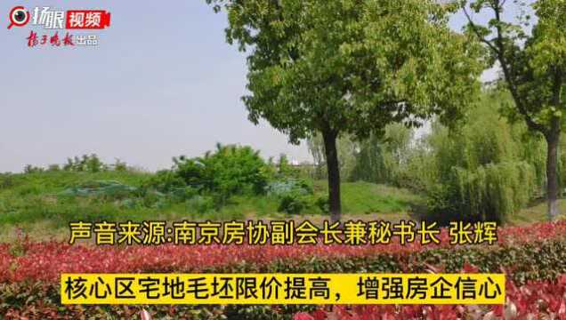 南京5幅地块顺利拍出浦口宅地触顶,河西重磅地块底价成交