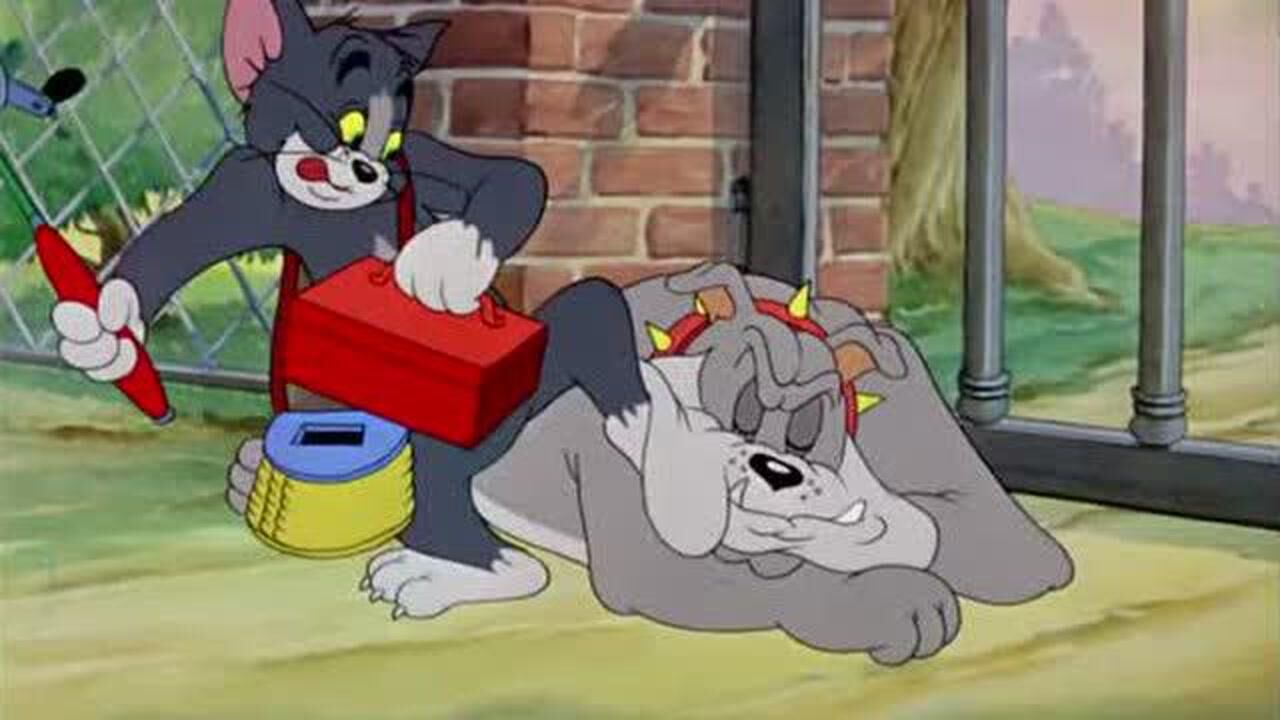 猫和老鼠:狗把汤姆的腿当做骨头咬下去,汤姆的叫声惊醒大狗