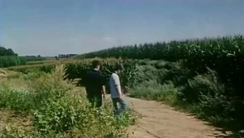 俩男子在玉米地里谈私密，却不知旁边地里有人在偷听