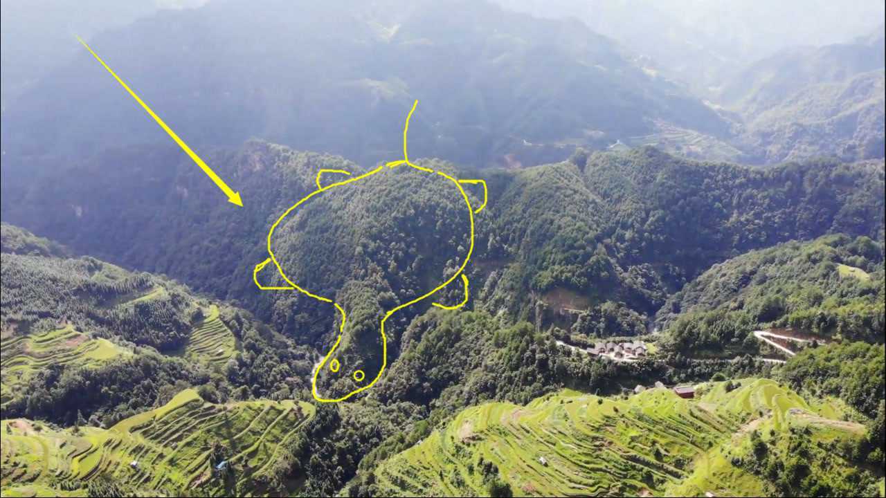 大山里的乌龟下海形状形象生动非常独特真是个风水宝地啊