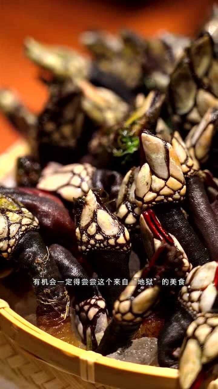 来自"地狱"的美食鹅颈藤壶,虽然长得可怕,但是味道绝对是世界级的!