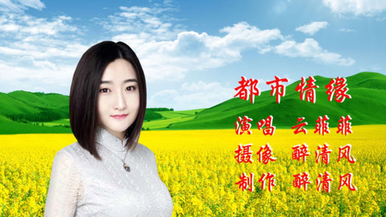 云菲菲都市情缘鸿飞雁落终有梦你是我红尘中剪也剪不断的缘