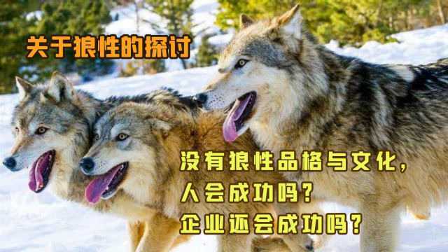 狼性文化探讨1:没有狼性品格,人会成功吗?企业还会成功吗?