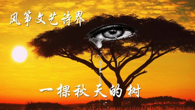 全网最美散文朗读《一棵秋天的树》,凄美伤感中孕育着坚韧积极向上的正能量