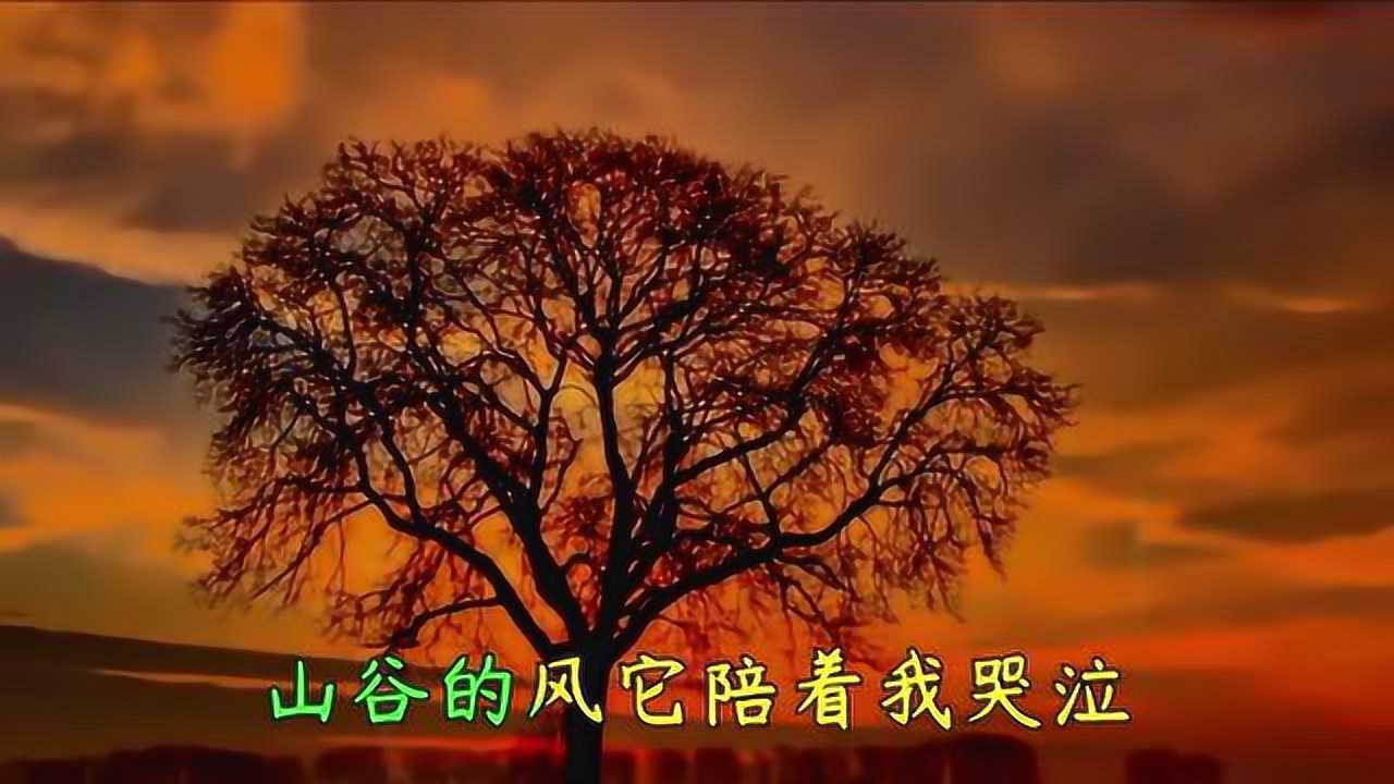 腾讯视频