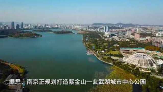 南京打造紫金山—玄武湖城市中心公园,详细规划将启动国家招标