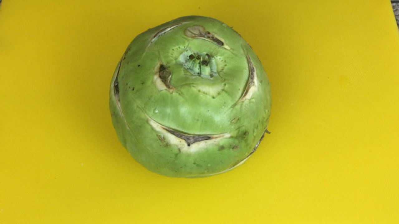 苤蓝疙瘩是东北特色菜,咸辣爽口简单易学,整好了老好吃了