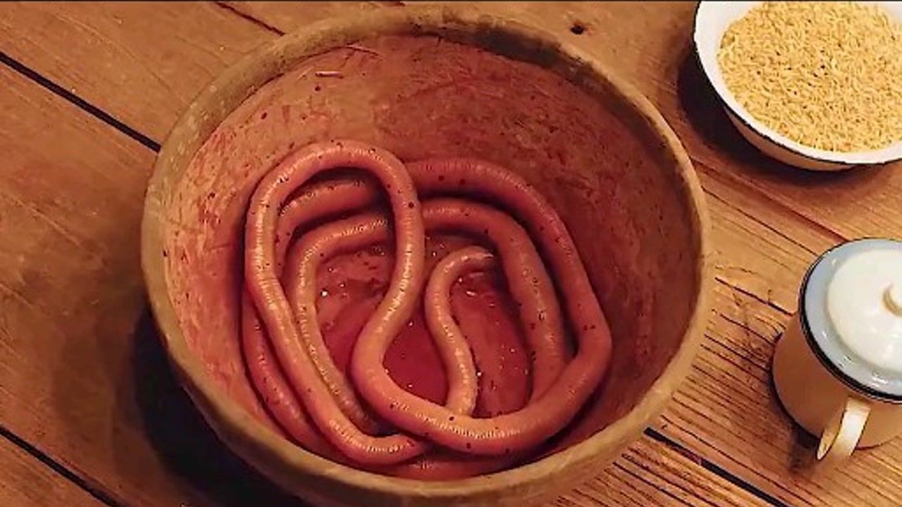 沙海进了不该进的地方众人肚子里竟然出现大长虫