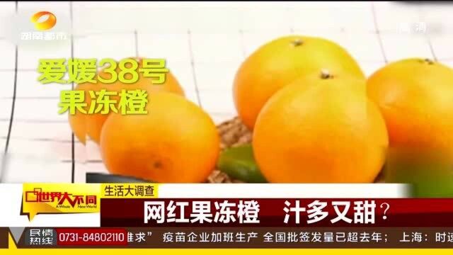 网红果冻橙 汁多又甜可以水管吸着吃?专家亲测看结果!