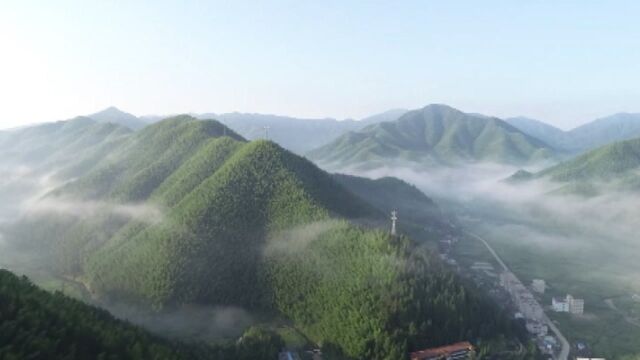 在现场丨初冬山林美如画 两岸共绘阳明山