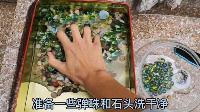 做一个简陋的乌龟缸,把刚出壳的小乌龟放里面