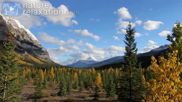 欣赏落基山的秋天风景