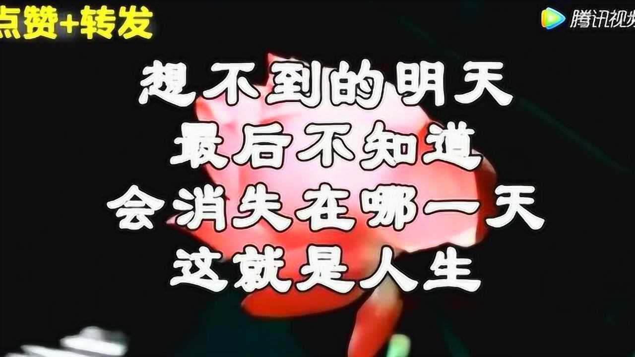 人生太难,生活太苦!