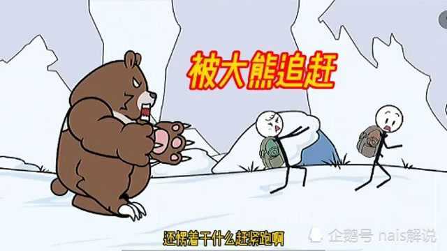 nai:在雪山大狗熊追着我不放,怎么办